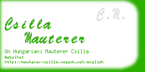 csilla mauterer business card